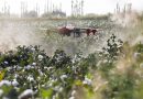 Uav Plant Protection Drone  - viya0414 / Pixabay