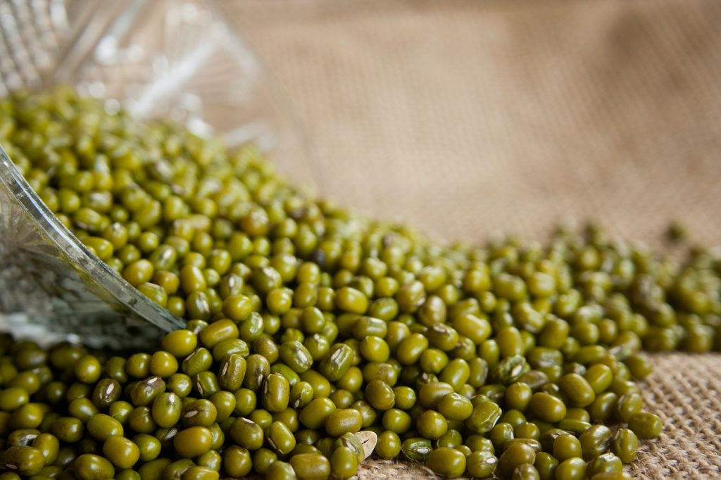 Mung Beans Vigna Radiata Moong Bean - PDPics / Pixabay