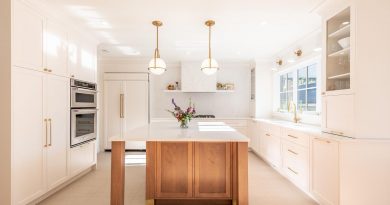 Kitchen Cabinets Interiors  - rdsremovalanalytic / Pixabay