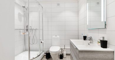 Real Estate Interior Bath Room  - Lisaphotos195 / Pixabay