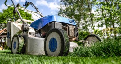 Zahrada svépomocí: 5 věcí, na které byste neměli zapomenout lawn mower, grass, garden