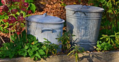 trash can, dustbin, garbage, waste, vintage trash can, nostalgia, gray metal dustbin, trash can, trash can, dustbin, dustbin, dustbin, dustbin, dustbin
